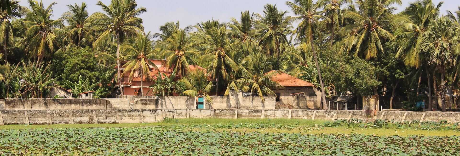 Jaffna Heritage Hotel Jaffna Sri Lanka banner DT 27521982