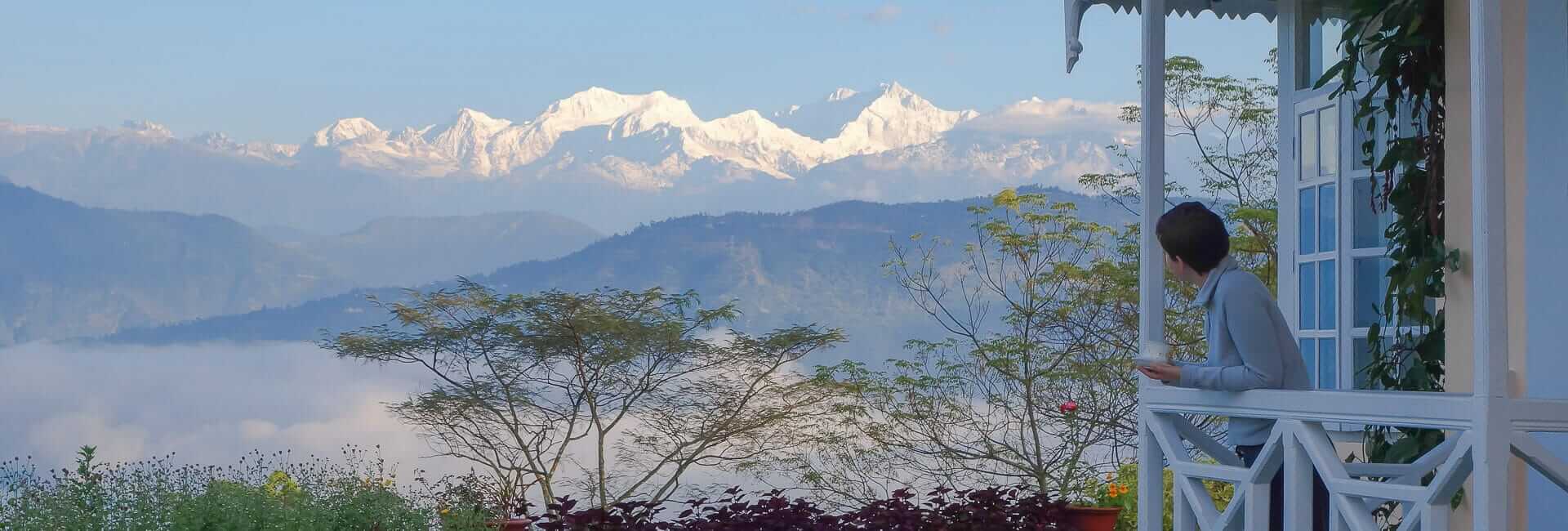 Glenburn Tea Estate near Darjeeling India (Morning Glenburn tea in front of Kanchenjunga)