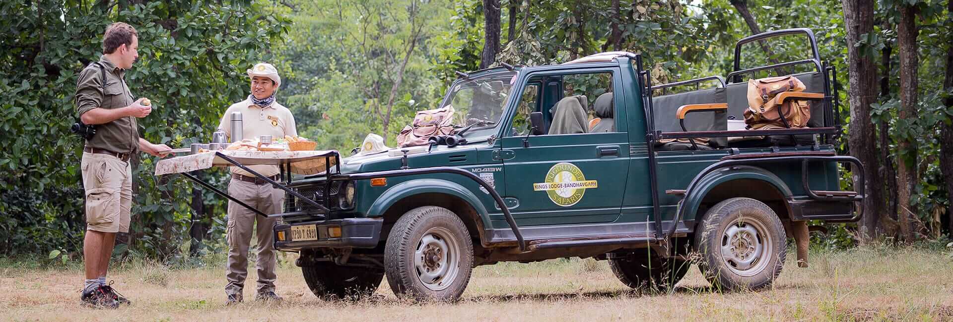 Kings Lodge Bandhavgarh National Park India (wildlife excursion) 5