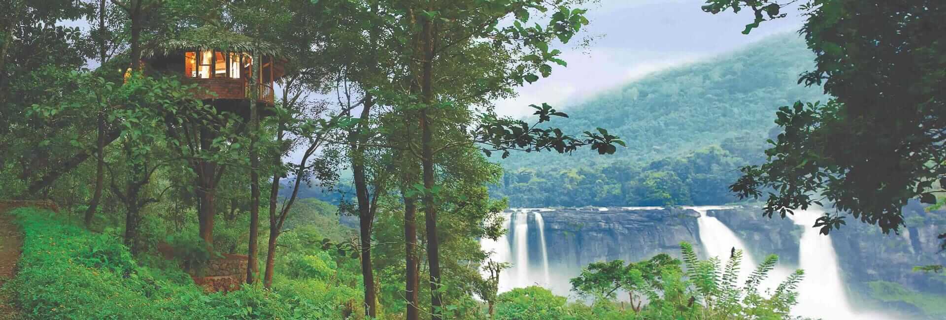 Rainforest Athirapally Falls Kerala India (Tree House) 1