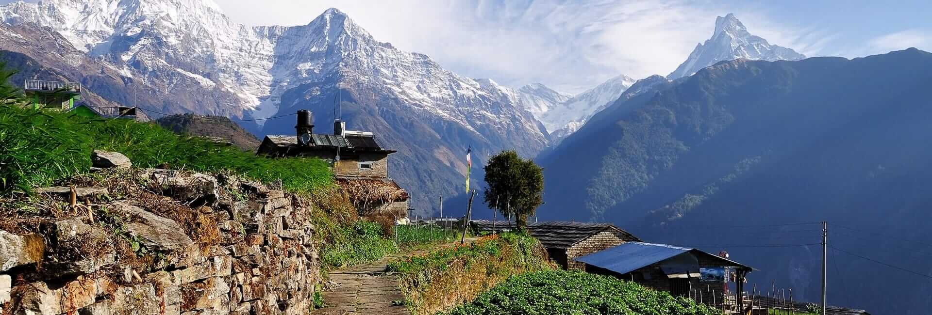 Annapurna (Ghandruk village. Annapurna South) Nepal DT 31210708